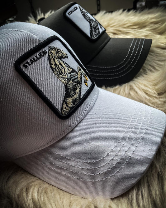 Horse  Hats